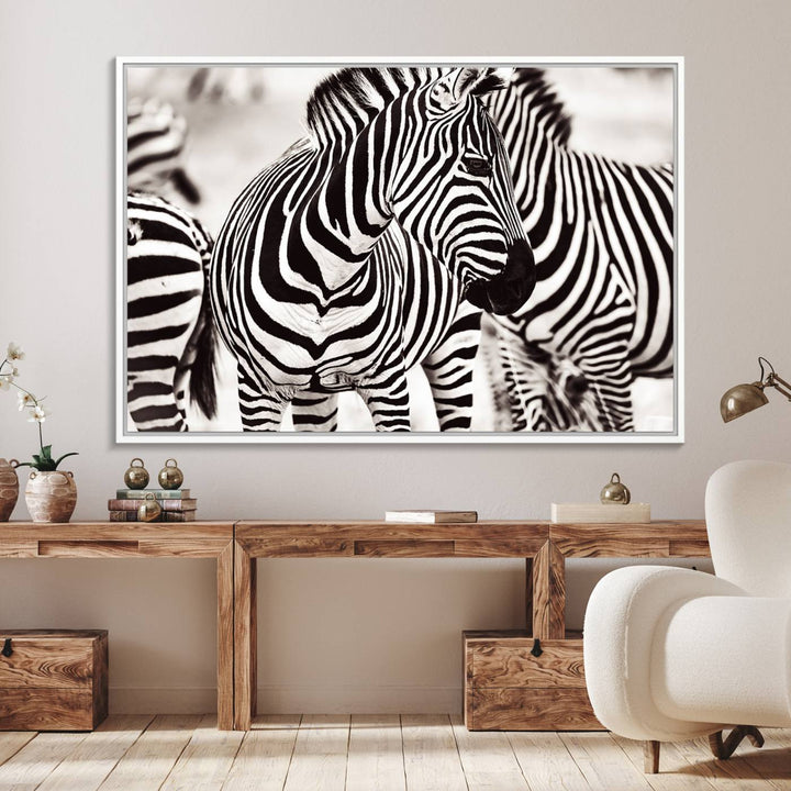 16897-MGV-FC-36X24_White-Brilliant Zebra Photography Art Canvas Print Black and White