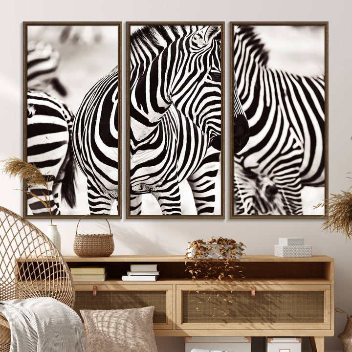 16897-MGV-FC-48X32-3P_Walnut-Brilliant Zebra Photography Art Canvas Print Black and White