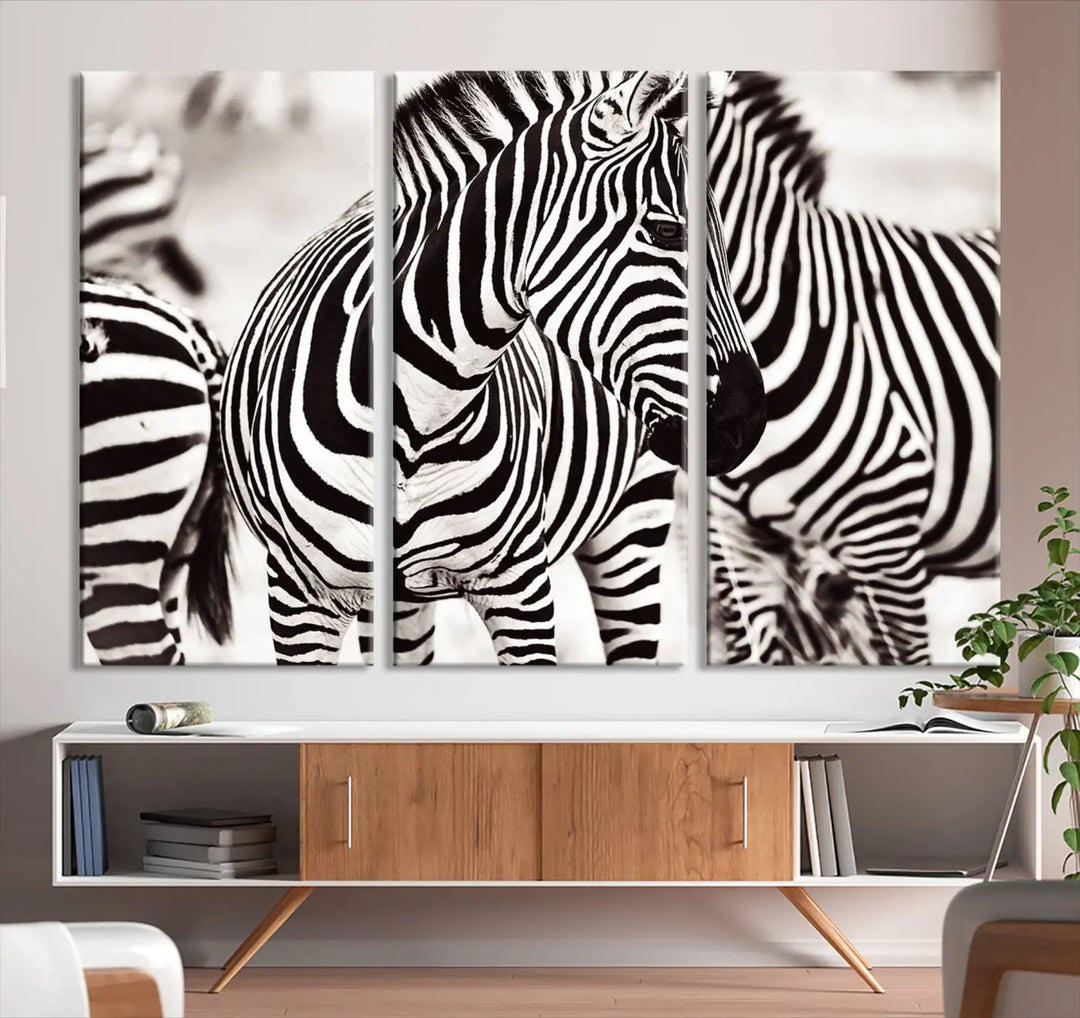 The room features the striking "Brilliant Zebra Photography Art Canvas Print Black and White," a triptych that showcases bold black and white stripes. This artwork is skillfully gallery wrapped on museum-quality canvas.