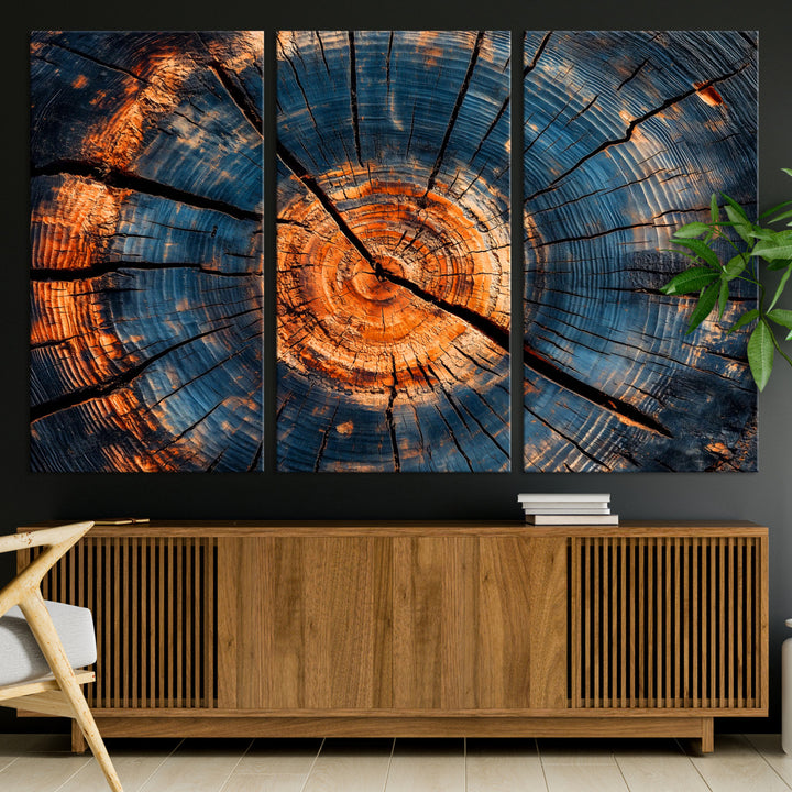 81894502-MGV-CV-36X24-Burnt Wood Wall Art Canvas Print, Aged Timber Print, Framed Rustic Tree Slice Art Print, Large Organic Texture Printing Perfect for Rustic