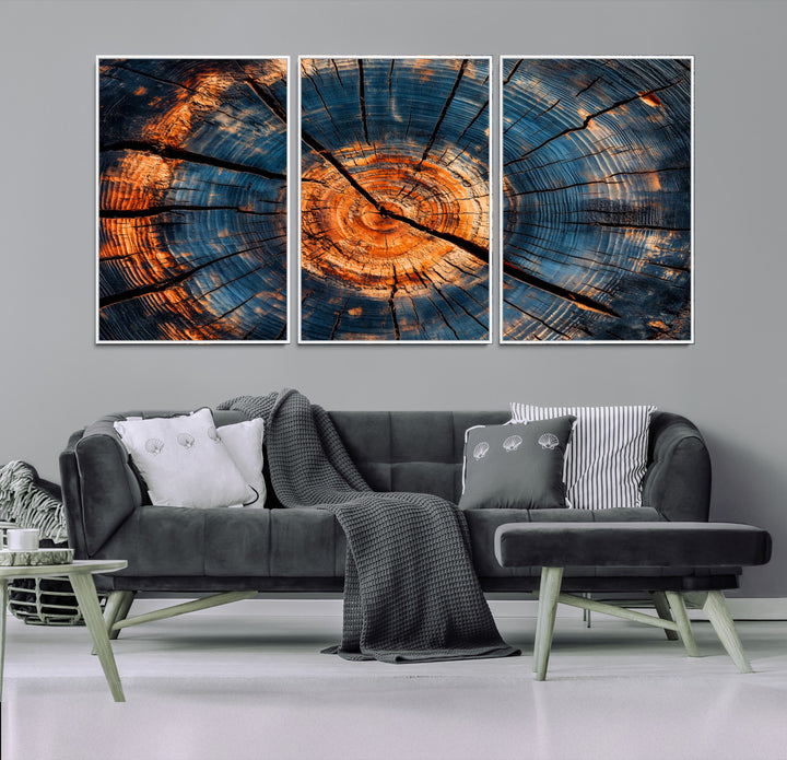 81894502-MGV-FC-60X30-3P_White-Burnt Wood Wall Art Canvas Print, Aged Timber Print, Framed Rustic Tree Slice Art Print, Large Organic Texture Printing Perfect for Rustic