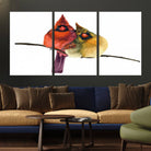 67752-MGV-CV-36X24-Cardinal Bird Canvas Wall Art - Male and Female Cardinal Print - Nature-Inspired Bird Wall Decor for Home - Vibrant Wildlife Art on Canvas