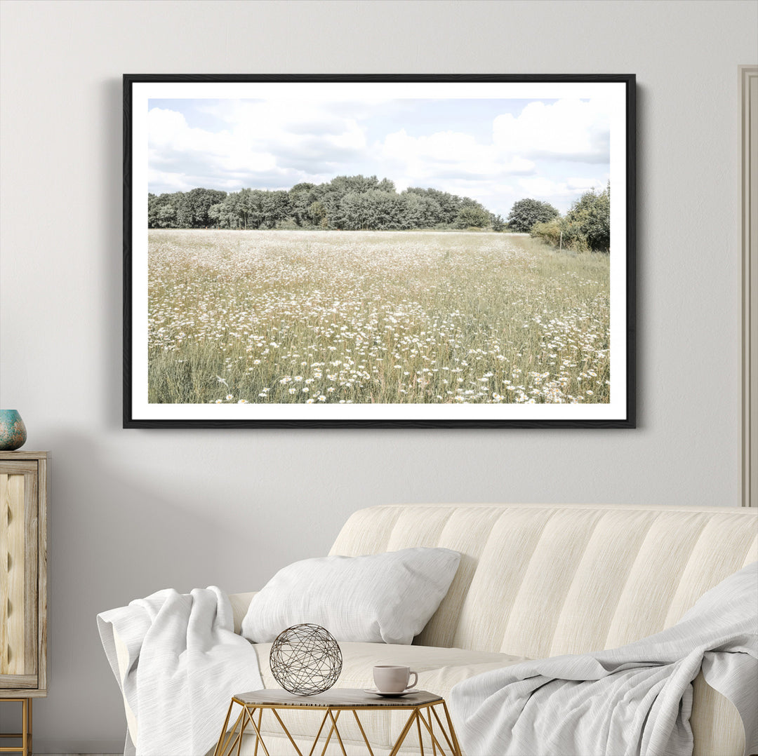 Charming Daisy Field Wall Art Canvas Print