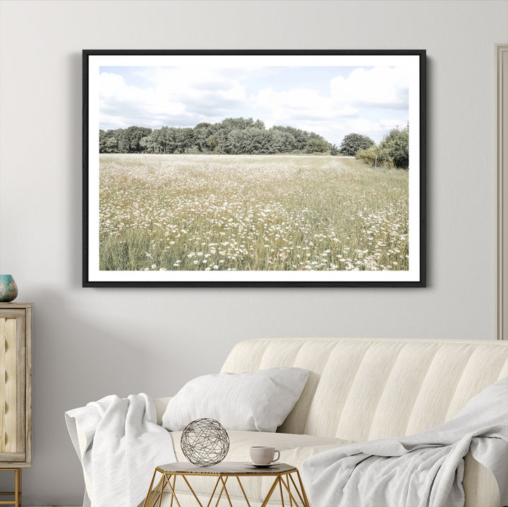 Charming Daisy Field Wall Art Canvas Print