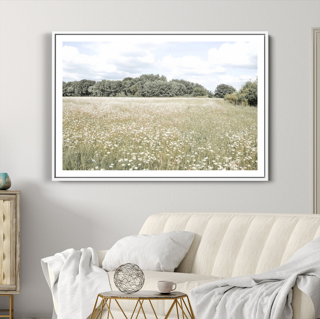 43258946-MGC-FP-36x24_White-Charming Daisy Field Wall Art Canvas Print