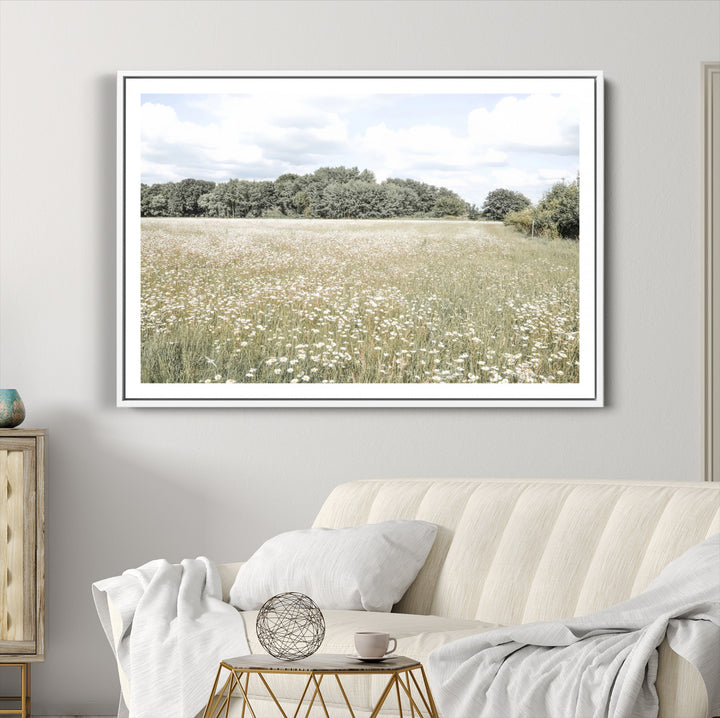 43258946-MGC-FP-36x24_White-Charming Daisy Field Wall Art Canvas Print