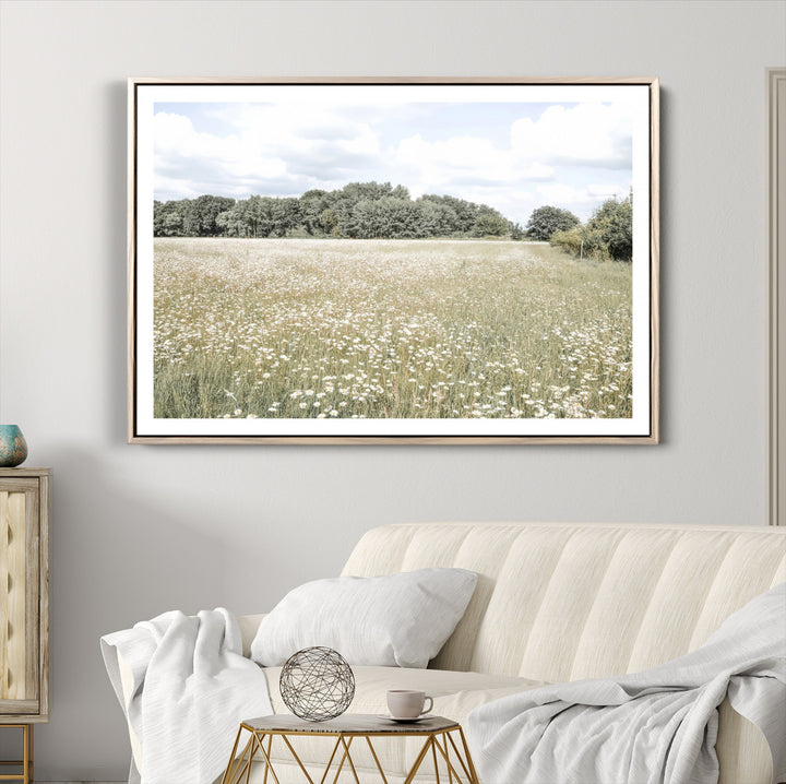 Charming Daisy Field Wall Art Canvas Print