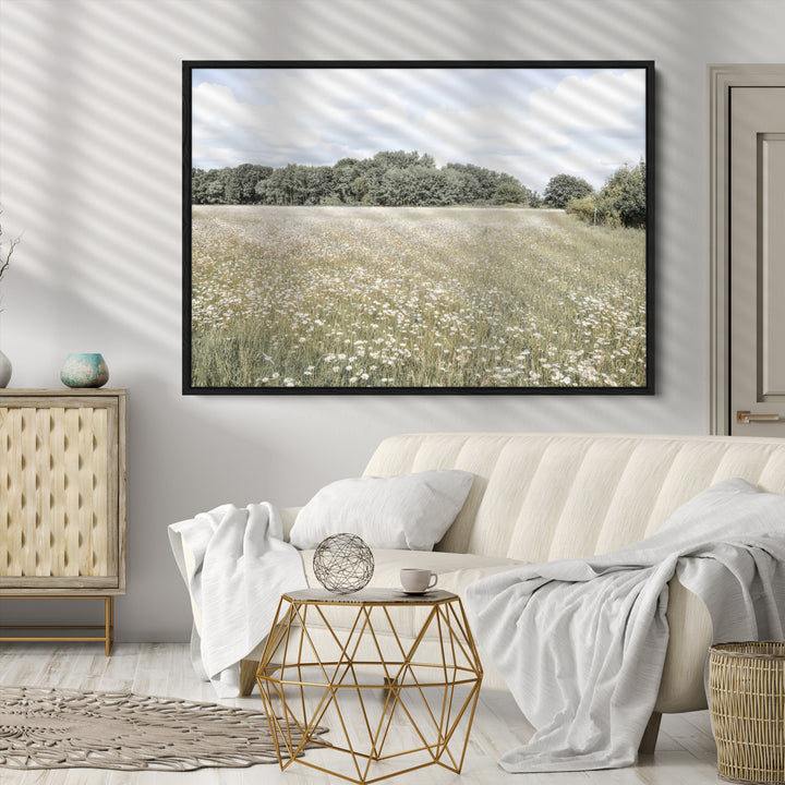 Charming Daisy Field Wall Art Canvas Print