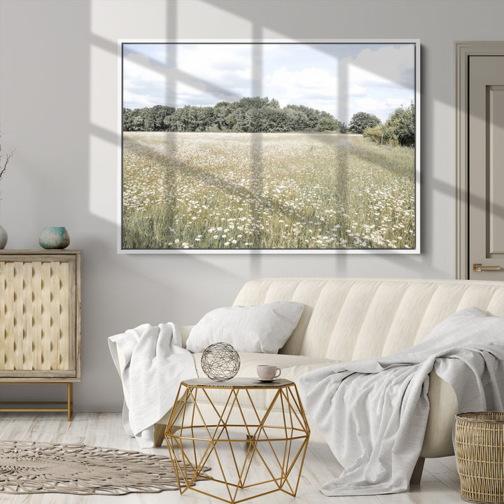 Charming Daisy Field Wall Art Canvas Print