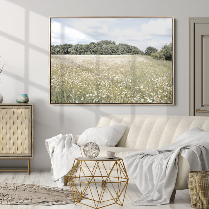 43258946-MGV-CV-36X24-Charming Daisy Field Wall Art Canvas Print