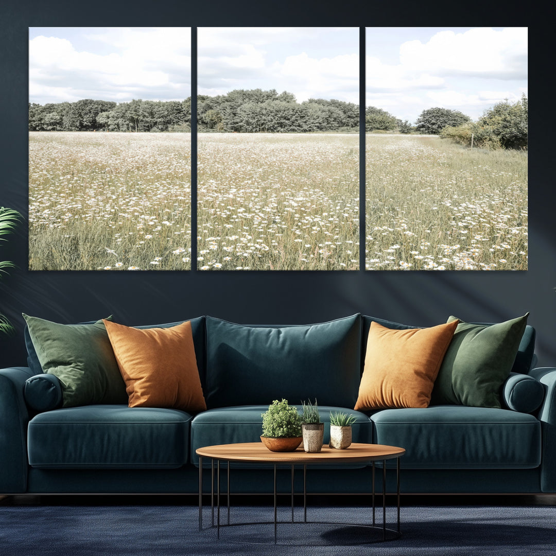 Charming Daisy Field Wall Art Canvas Print