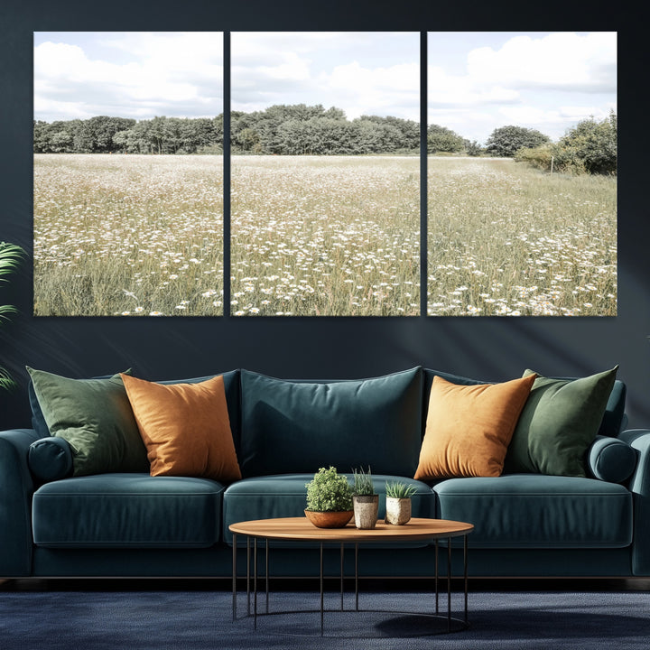 Charming Daisy Field Wall Art Canvas Print