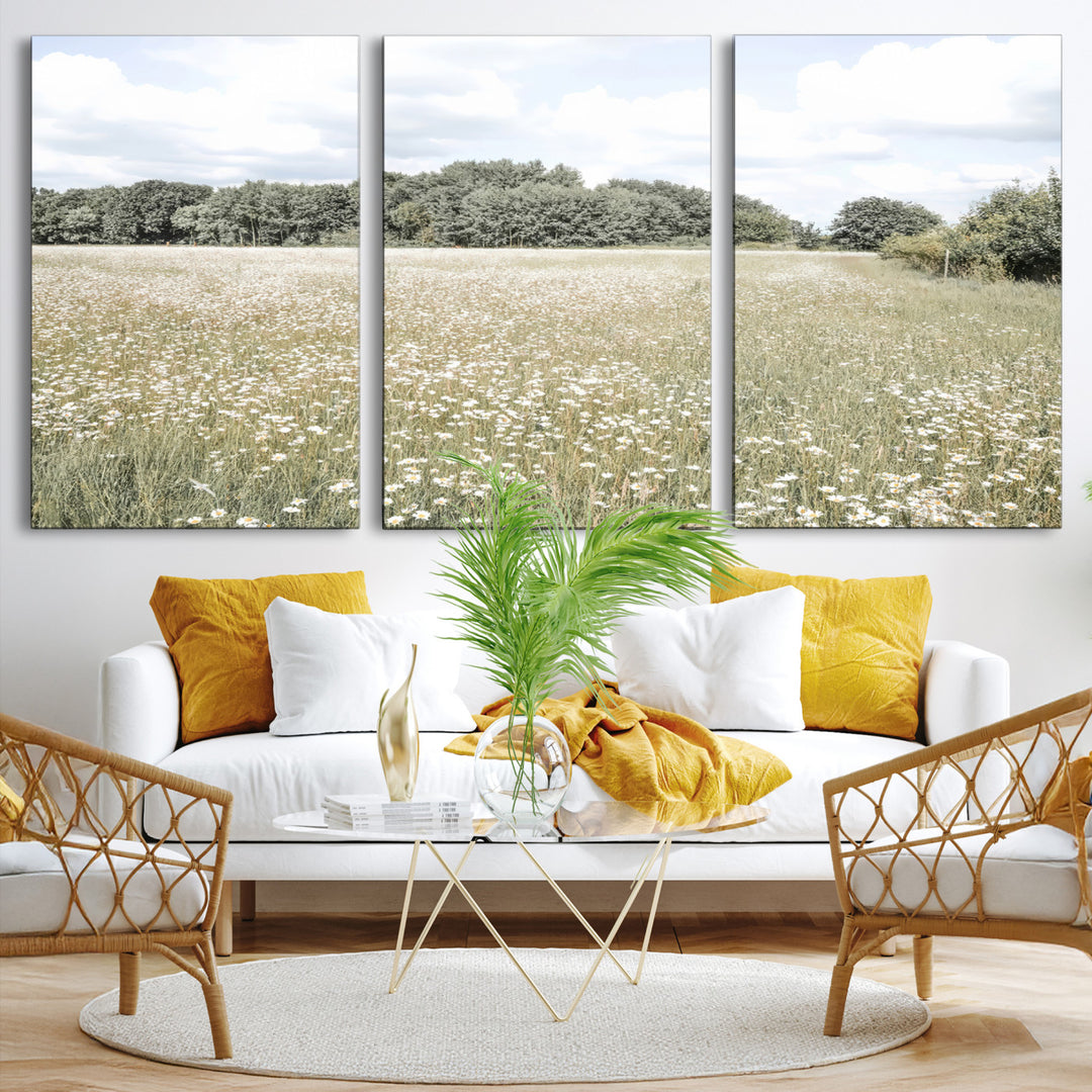 43258946-MGV-CV-36X24-Charming Daisy Field Wall Art Canvas Print