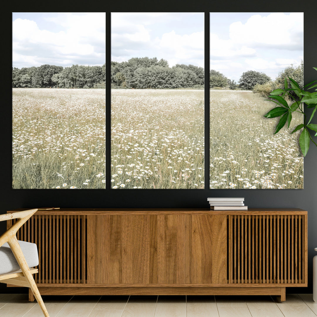43258946-MGV-CV-36X24-Charming Daisy Field Wall Art Canvas Print