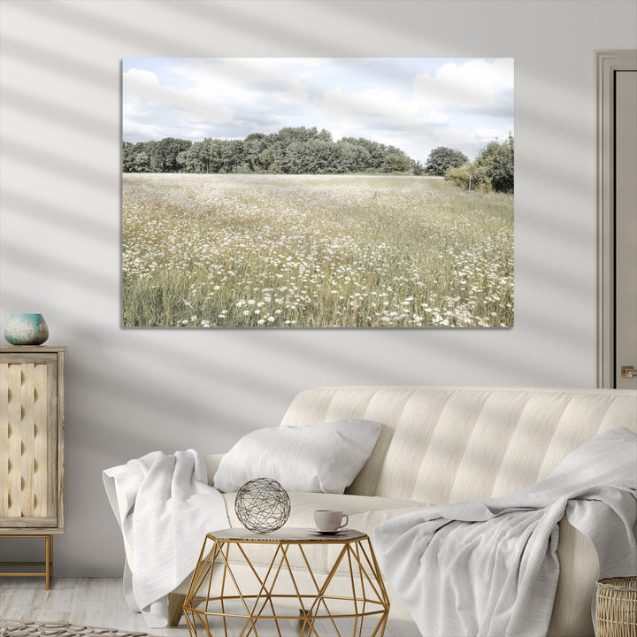 Charming Daisy Field Wall Art Canvas Print