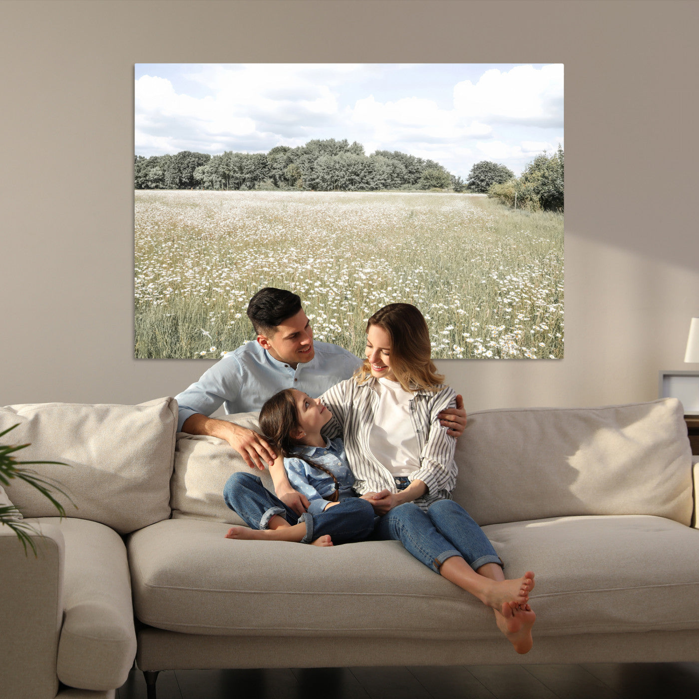 Charming Daisy Field Wall Art Canvas Print
