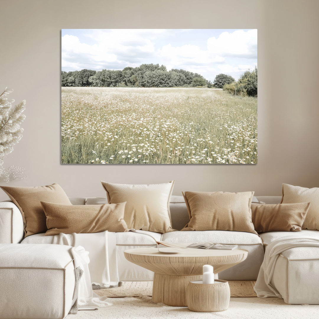 Charming Daisy Field Wall Art Canvas Print