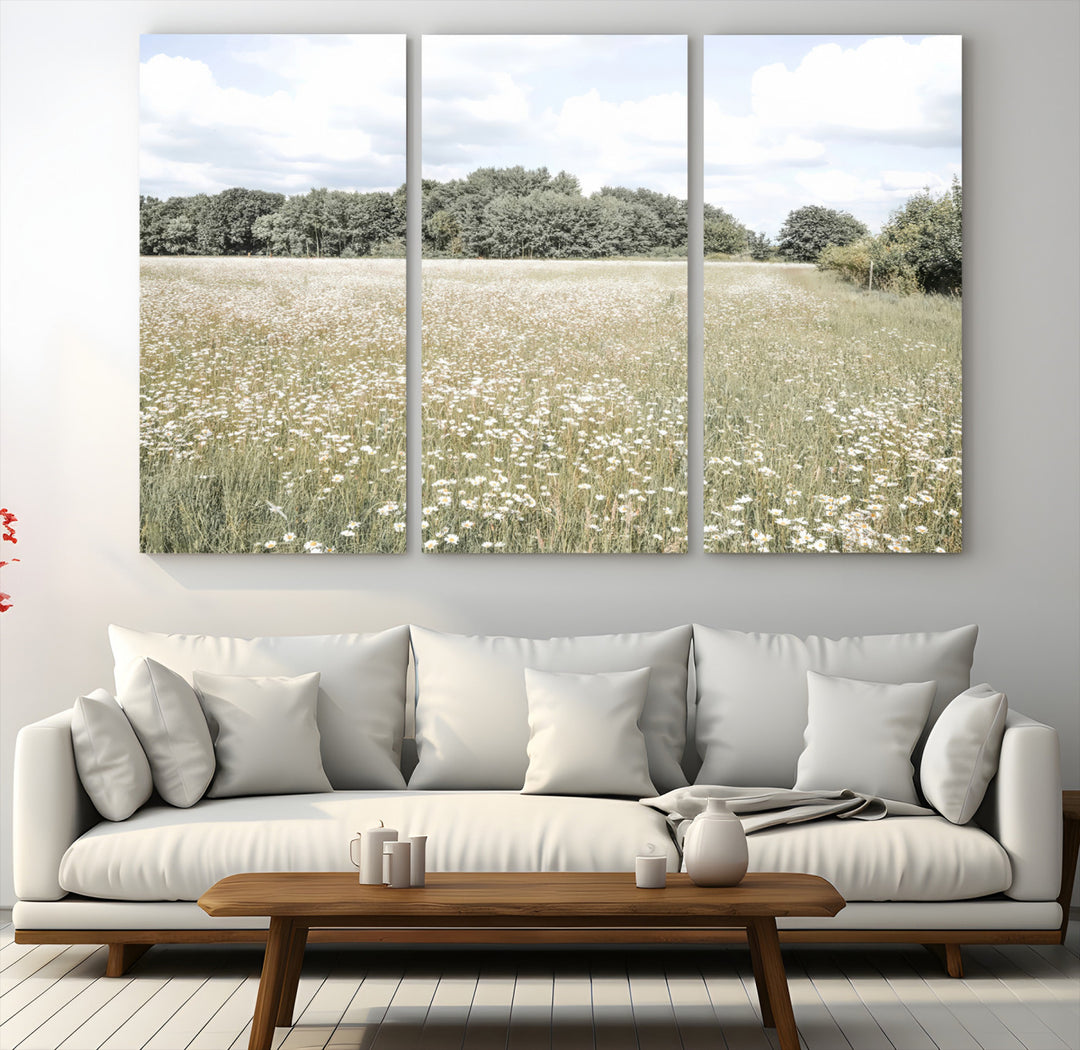 43258946-MGV-CV-48X32-3P-Charming Daisy Field Wall Art Canvas Print