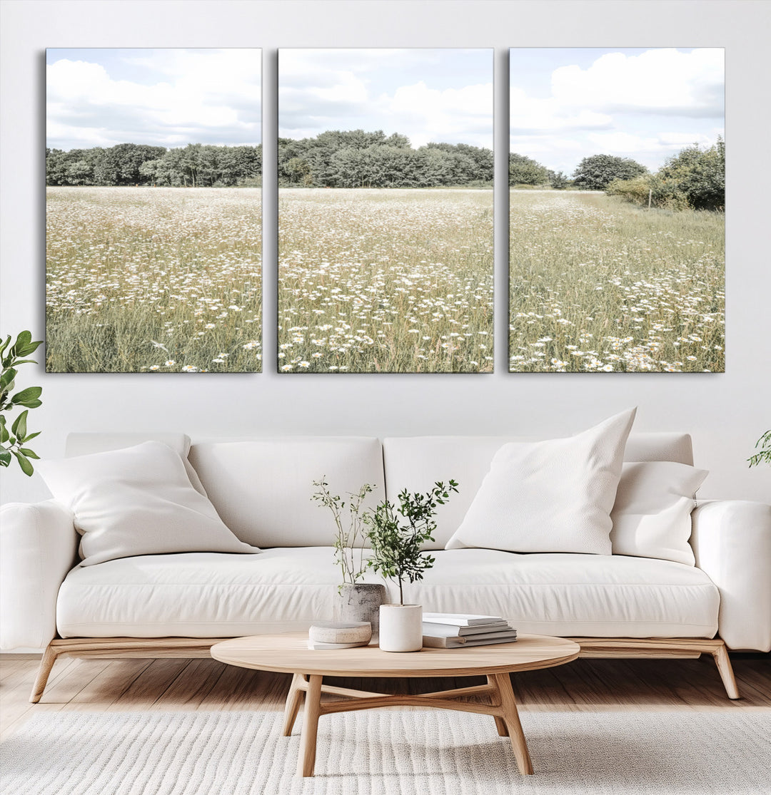 43258946-MGV-CV-60X30-3P-Charming Daisy Field Wall Art Canvas Print