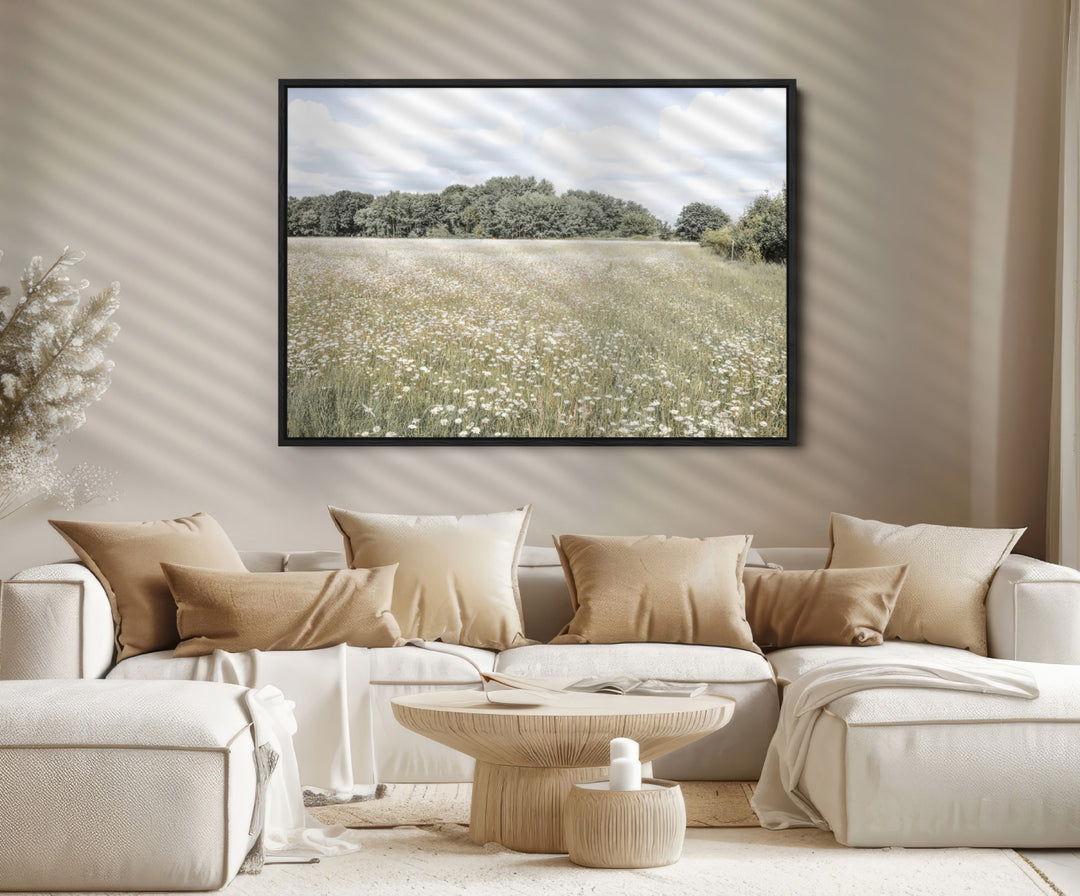 Charming Daisy Field Wall Art Canvas Print