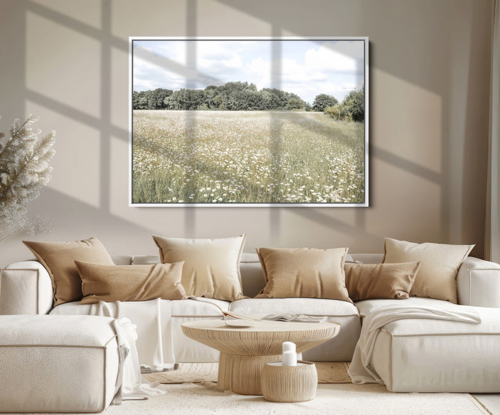 Charming Daisy Field Wall Art Canvas Print