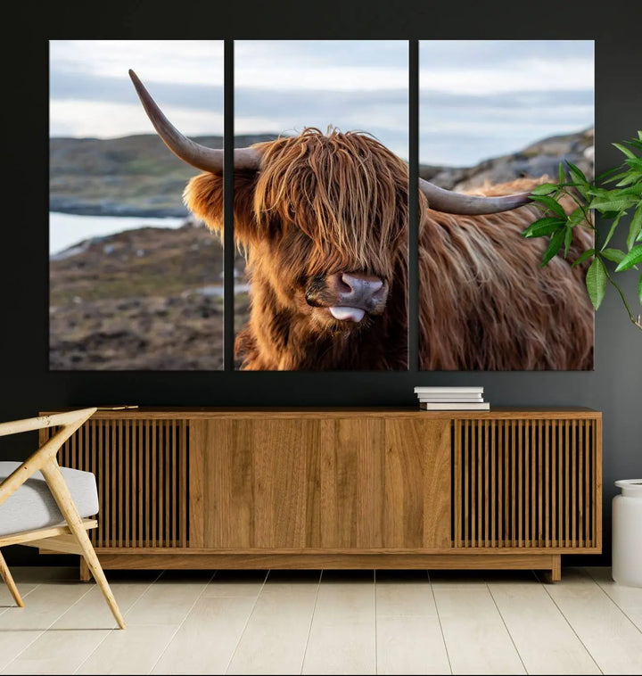 The Cuddly Highland Cow Canvas Photo Wall Art Print, featuring Highlands art and a cute animal theme, is gallery wrapped on museum-quality canvas with a UV-protective coating.