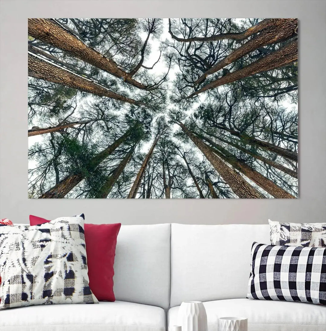 The "Dry Tree Branches Extending to the Sky" canvas print adorns the wall.