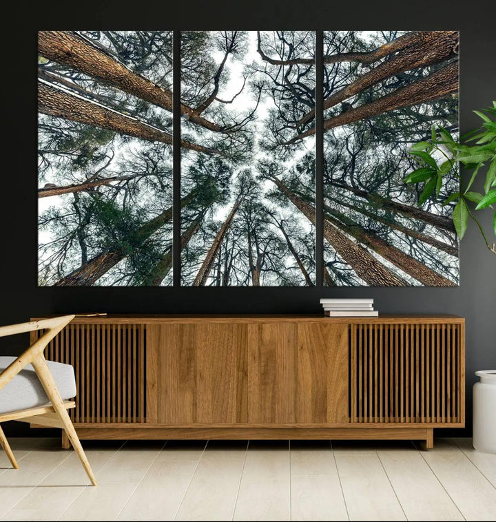 The "Dry Tree Branches Extending to the Sky" canvas print adorns the wall.