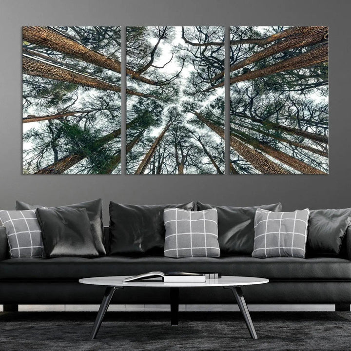 The "Dry Tree Branches Extending to the Sky" canvas print adorns the wall.