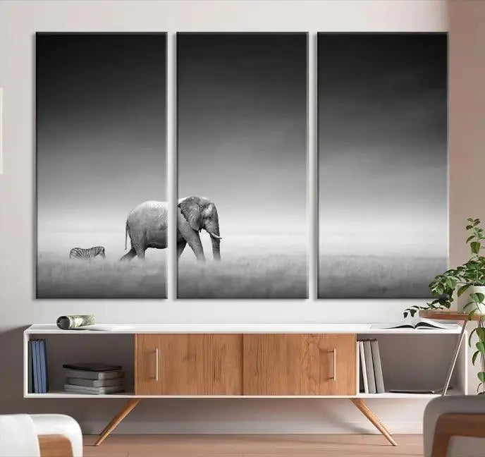 Elephant and Zebra Wall Art Canvas Print: A black and white triptych on museum-quality canvas, showcasing an elephant and zebra walking across a grassy plain. Equipped with a UV-protective coating for lasting protection.