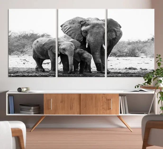 The Elephant Family Africa Wall Art Canvas Print, a black and white triptych of elephants, is presented as museum-quality canvas art.