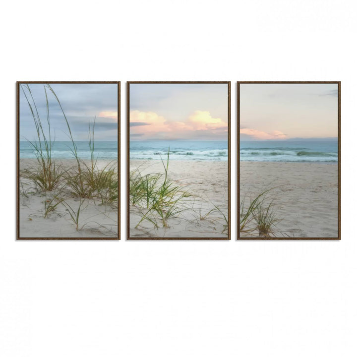 Test1001-MGV-FC-60X30-3P_Walnut-Flight Over Coastal Beach Landscape, Flight Over Coastal Beach Print Canvas Wall Art