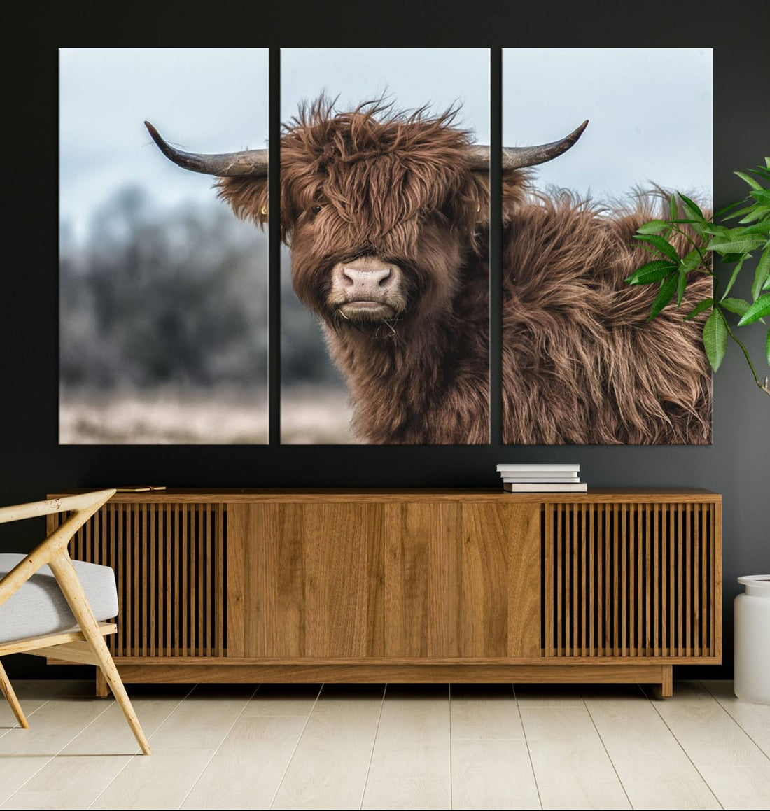 Fluffy Highland Cow Photograph Wall Art Canvas | Black and White Cattle Print
