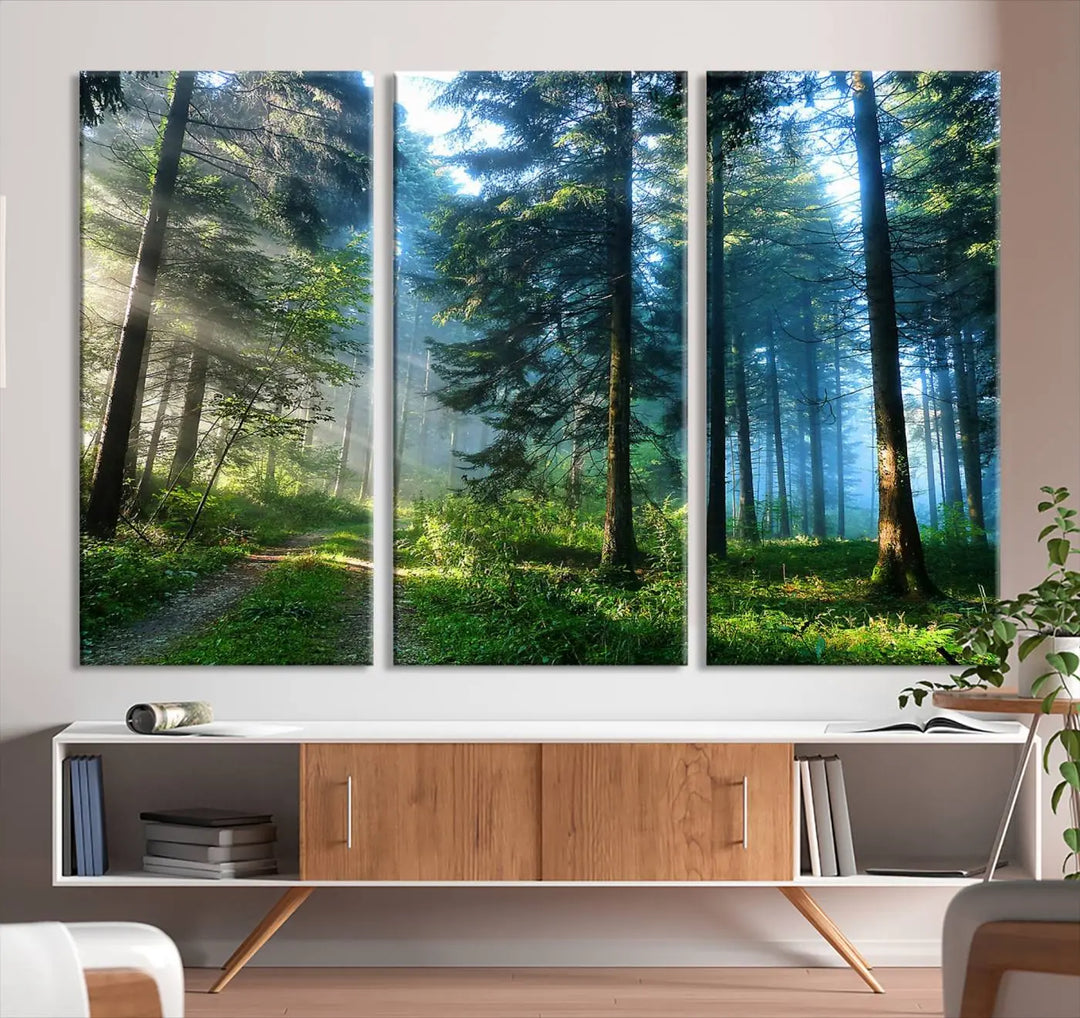 The Forest Sun Shine Wall Art Canvas Print adorns the wall, its gallery-wrapped design adding elegance.