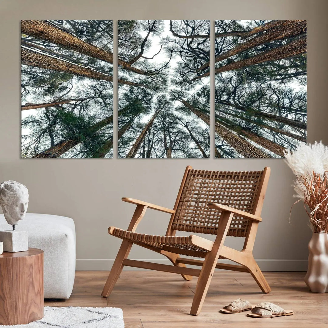 The living room is graced by the Forest Trees Wall Art Canvas Print, a nature-themed triptych made from museum-quality canvases with a UV-protective coating to preserve its vibrant colors, ready to hang.