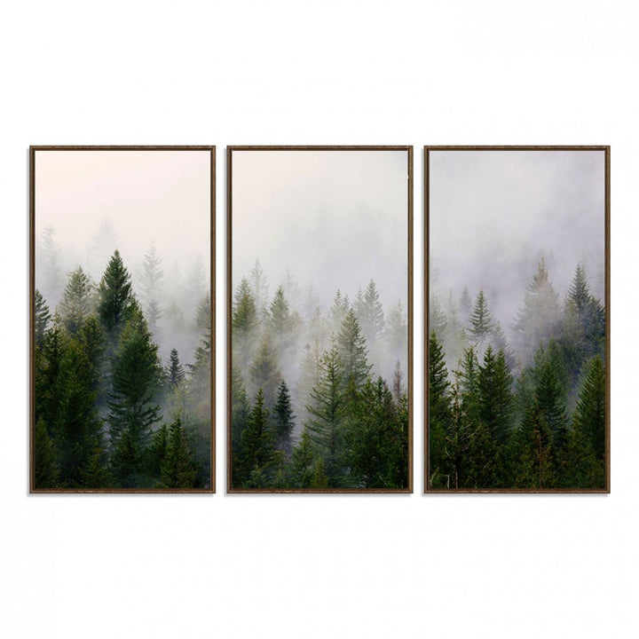 11436-MGV-FC-48X32-3P_Walnut-Forest Wall Art Canvas Print | Foggy Forest Wall Art | Pine Wood Forest Print