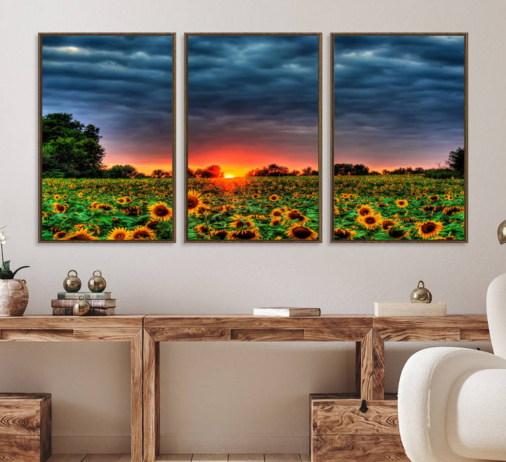 45045-MGV-FC-60X30-3P_Walnut-Golden Sunflower Field at Sunset – Breathtaking Sky and Vibrant Flowers, Ready to Hang Wall Art Canvas Print
