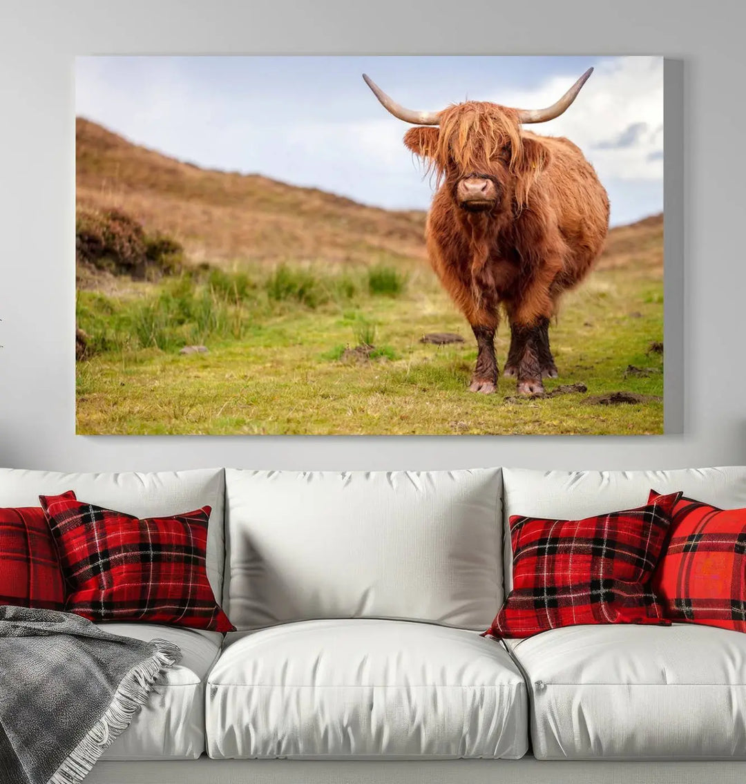 The "Highland Cow Animal Canvas Wall Art Texas Cattle Art Print Farmhouse Wall Art Canvas Print," featuring a highland cow on museum-quality canvas with a UV-protective coating, is displayed prominently.