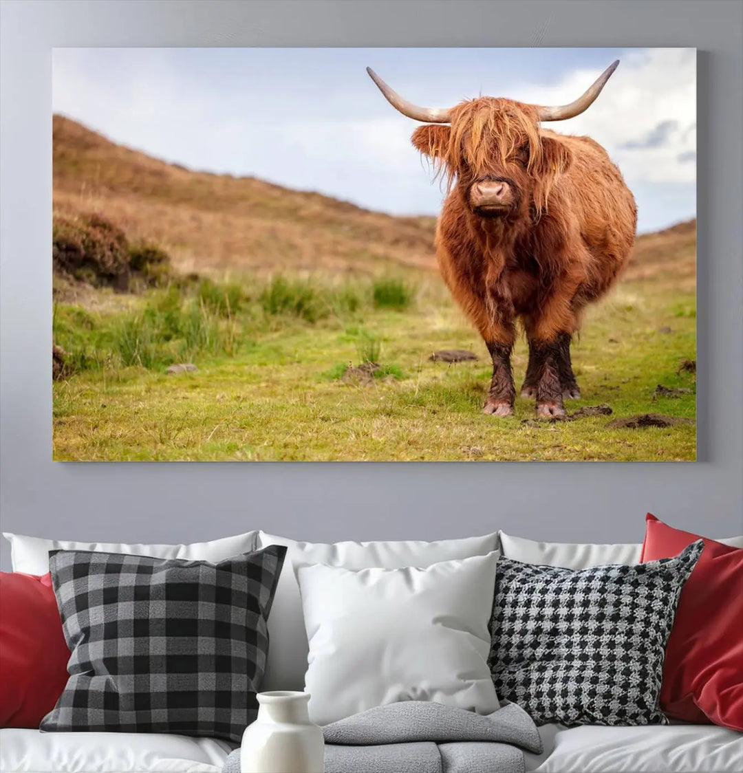 The "Highland Cow Animal Canvas Wall Art Texas Cattle Art Print Farmhouse Wall Art Canvas Print," featuring a highland cow on museum-quality canvas with a UV-protective coating, is displayed prominently.