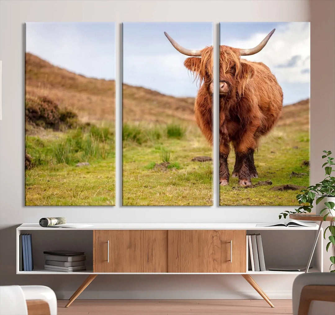 The "Highland Cow Animal Canvas Wall Art Texas Cattle Art Print Farmhouse Wall Art Canvas Print," featuring a highland cow on museum-quality canvas with a UV-protective coating, is displayed prominently.