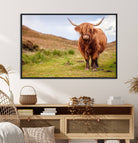 Highland Cow Animal Canvas Wall Art Texas Cattle Art Print Farmhouse Wall Art Canvas Print