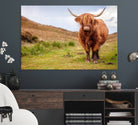 Highland Cow Animal Canvas Wall Art Texas Cattle Art Print Farmhouse Wall Art Canvas Print