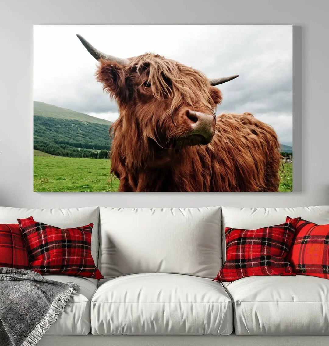 This tranquil "Highland Cow Canvas Wall Art Print" is crafted on museum-quality canvas with a UV-protective coating. Gallery wrapped, it adds beauty on its own.