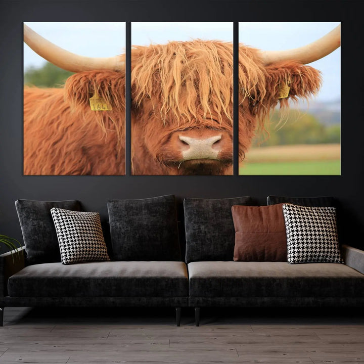 A multi-panel canvas set artwork features a close-up of a Highland cow with long horns and shaggy fur, displayed gallery-wrapped on museum-quality canvas with UV-protective coating. It hangs elegantly on a dark wall.