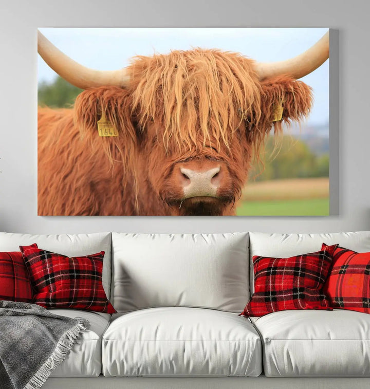 A multi-panel canvas set artwork features a close-up of a Highland cow with long horns and shaggy fur, displayed gallery-wrapped on museum-quality canvas with UV-protective coating. It hangs elegantly on a dark wall.