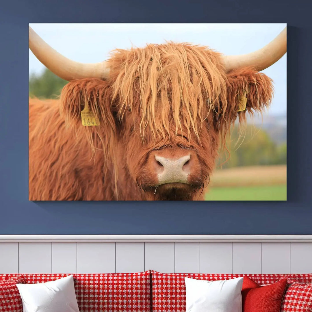 A multi-panel canvas set artwork features a close-up of a Highland cow with long horns and shaggy fur, displayed gallery-wrapped on museum-quality canvas with UV-protective coating. It hangs elegantly on a dark wall.