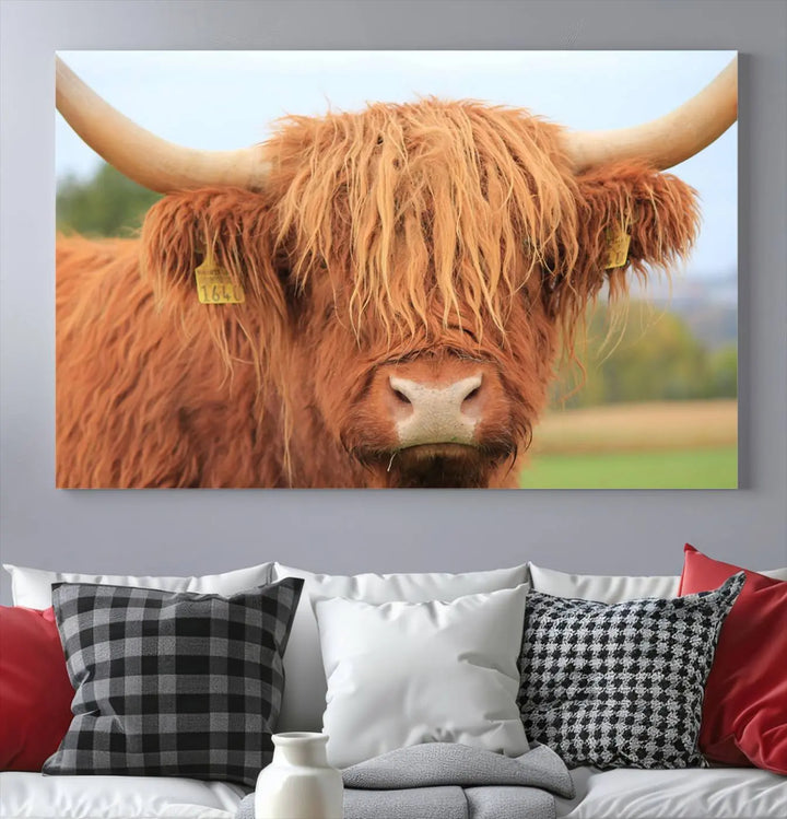 A multi-panel canvas set artwork features a close-up of a Highland cow with long horns and shaggy fur, displayed gallery-wrapped on museum-quality canvas with UV-protective coating. It hangs elegantly on a dark wall.