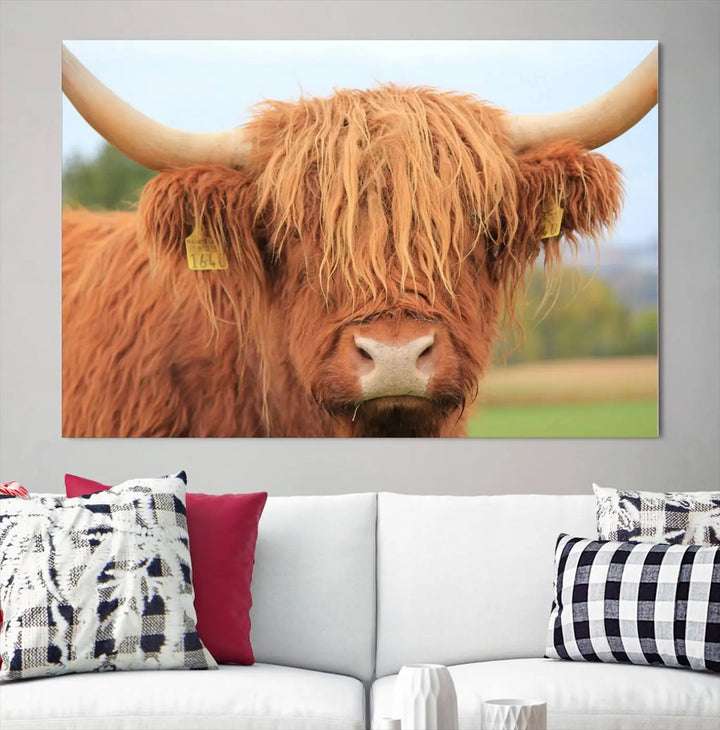 A multi-panel canvas set artwork features a close-up of a Highland cow with long horns and shaggy fur, displayed gallery-wrapped on museum-quality canvas with UV-protective coating. It hangs elegantly on a dark wall.