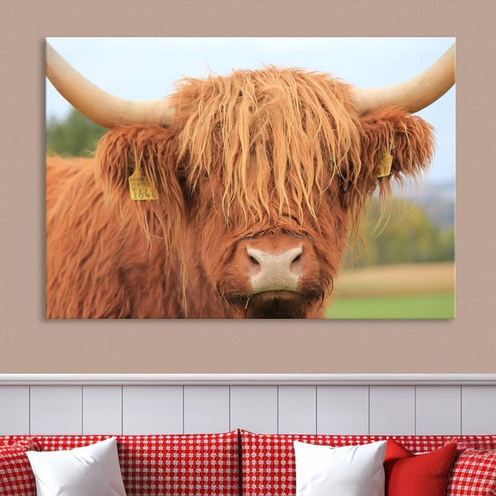 A multi-panel canvas set artwork features a close-up of a Highland cow with long horns and shaggy fur, displayed gallery-wrapped on museum-quality canvas with UV-protective coating. It hangs elegantly on a dark wall.