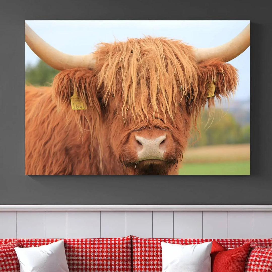 A multi-panel canvas set artwork features a close-up of a Highland cow with long horns and shaggy fur, displayed gallery-wrapped on museum-quality canvas with UV-protective coating. It hangs elegantly on a dark wall.